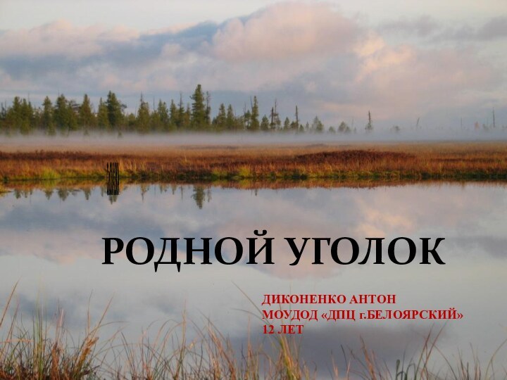 ДИКОНЕНКО АНТОНМОУДОД «ДПЦ г.БЕЛОЯРСКИЙ» 12 ЛЕТСкСКАЗКАРОДНОЙ УГОЛОК