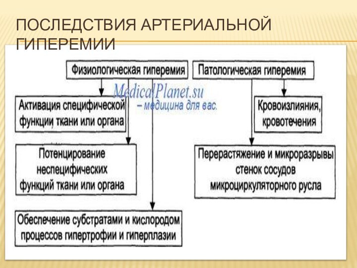 Последствия артериальной гиперемии