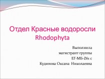 Отдел красные водоросли