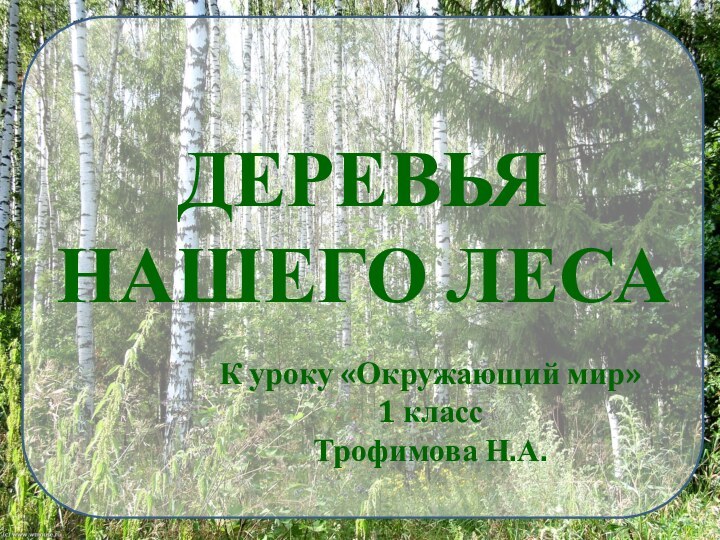 ДЕРЕВЬЯ НАШЕГО ЛЕСАК уроку «Окружающий мир»1 классТрофимова Н.А.