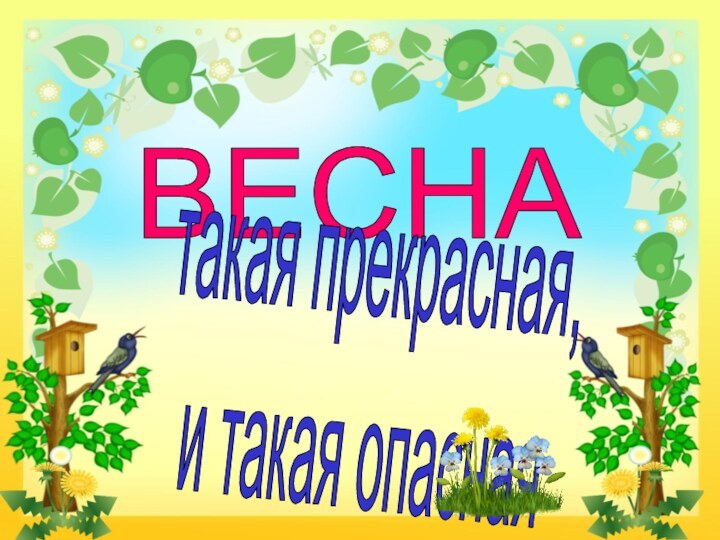 ВЕСНАтакая прекрасная,и такая опасная