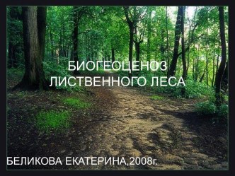 Биогеоценоз лиственного леса