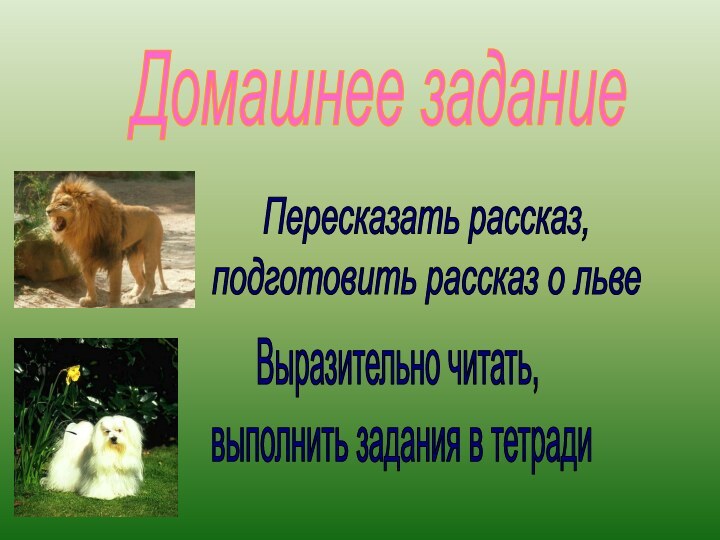 Домашнее заданиеПересказать рассказ, подготовить рассказ о львеВыразительно читать, выполнить задания в тетради