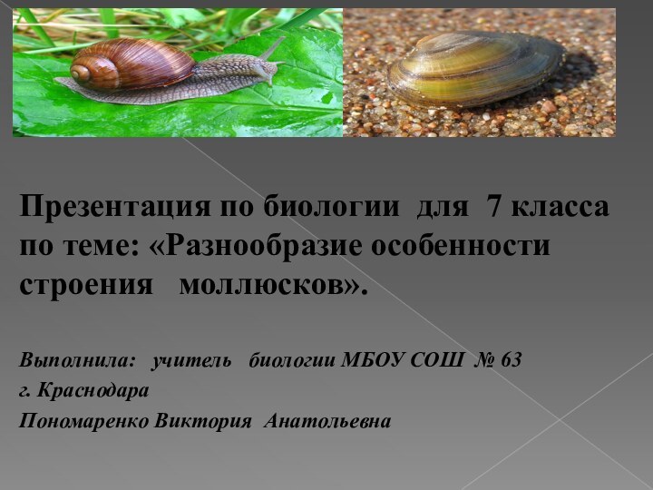 Презентация по биологии для 7 класса по теме: «Разнообразие особенности строения