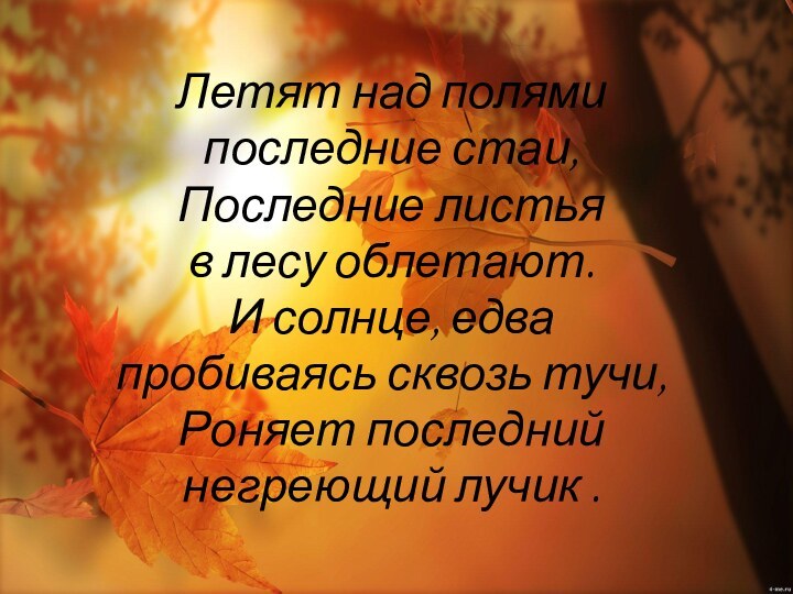 Летят над полямипоследние стаи, Последние листьяв лесу облетают.И солнце, едвапробиваясь сквозь тучи,Роняет последнийнегреющий лучик .