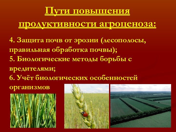 Пути повышения продуктивности агроценоза:4. Защита почв от эрозии (лесополосы, правильная обработка почвы);5.