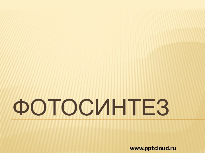 Фотосинтезwww.