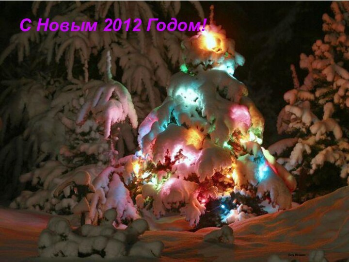 С Новым 2012 Годом!