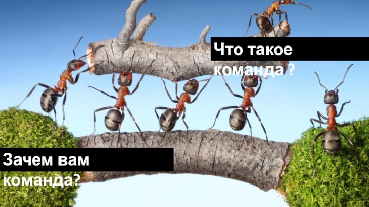 Что такое команда ?Зачем вам команда?