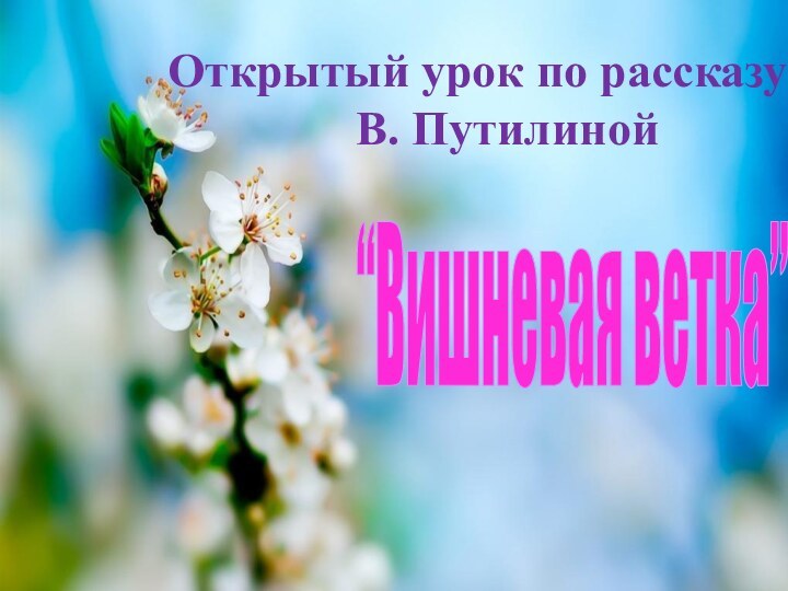 Открытый урок по рассказу     В. Путилиной“Вишневая ветка”