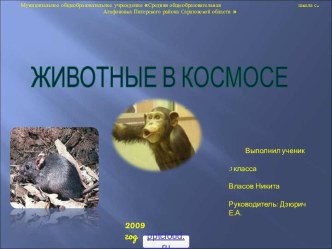 Животные в космосе