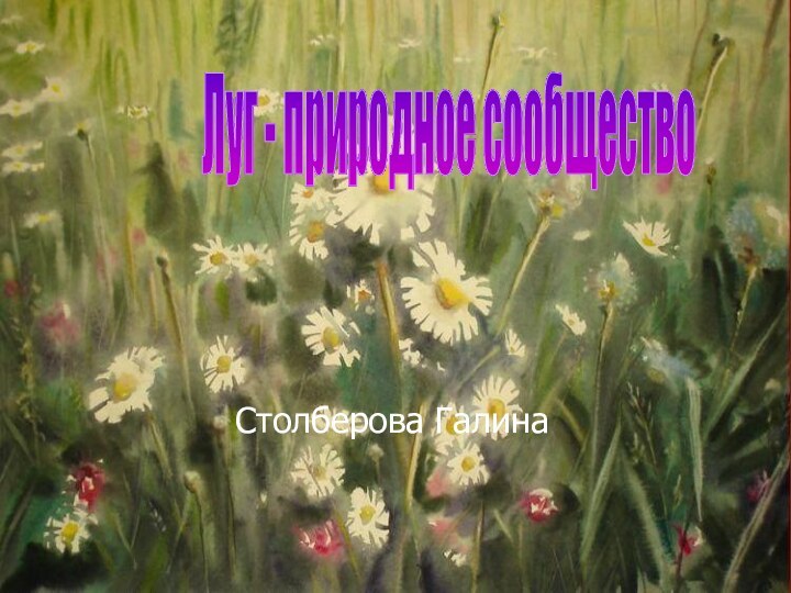 Столберова ГалинаЛуг - природное сообщество