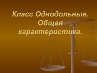 Класс однодольные. Общая характеристика