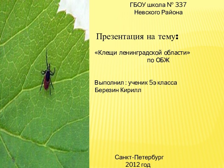 ГБОУ школа № 337 Невского Района Презентация на тему: «Клещи ленинградской области»по