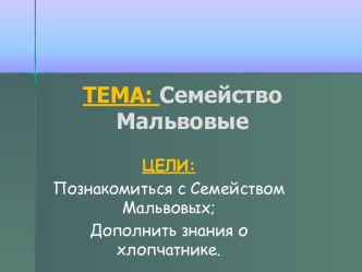 Семейство Мальвовые