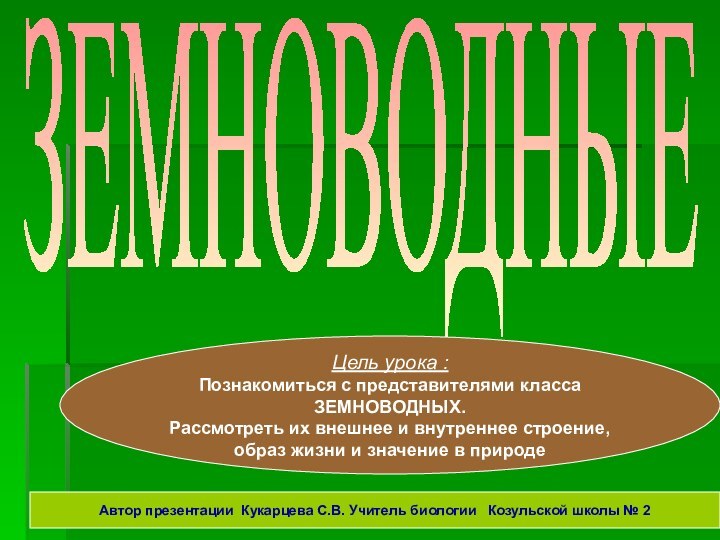 ЗЕМНОВОДНЫЕЦель урока :Познакомиться с представителями класса ЗЕМНОВОДНЫХ.Рассмотреть их внешнее и внутреннее строение,образ