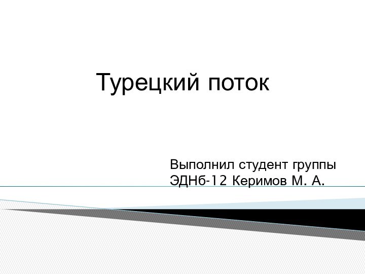 Турецкий потокВыполнил студент группы ЭДНб-12 Керимов М. А.