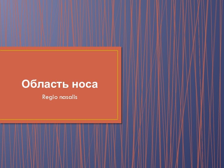 Область носа Regio nasalis