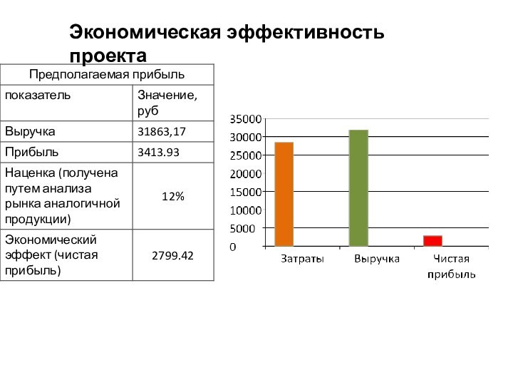 Экономическая эффективность проекта