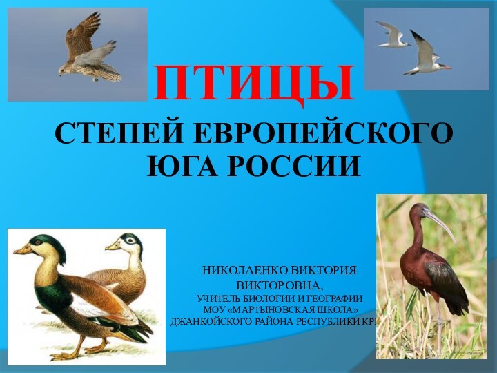 Николаенко Виктория Викторовна,  учитель биологии и географии  МОУ «Мартыновская школа»