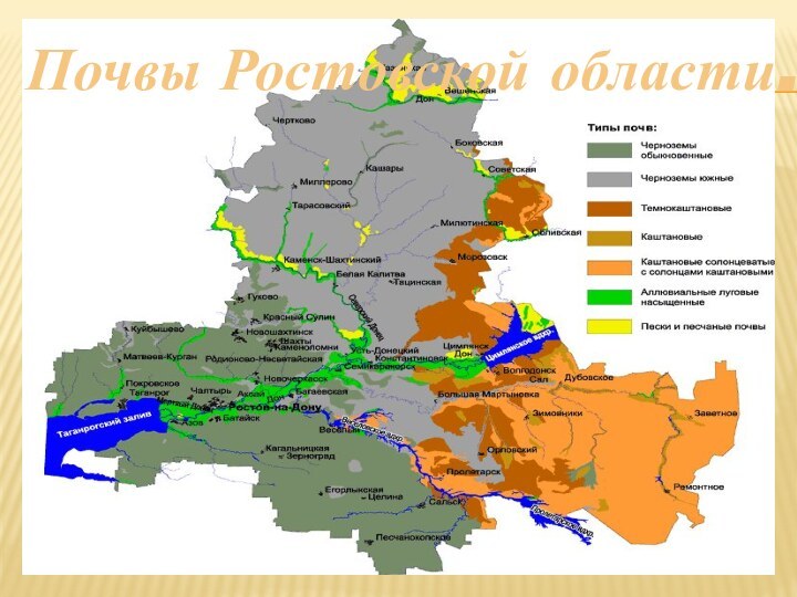 Почвы Ростовской области.