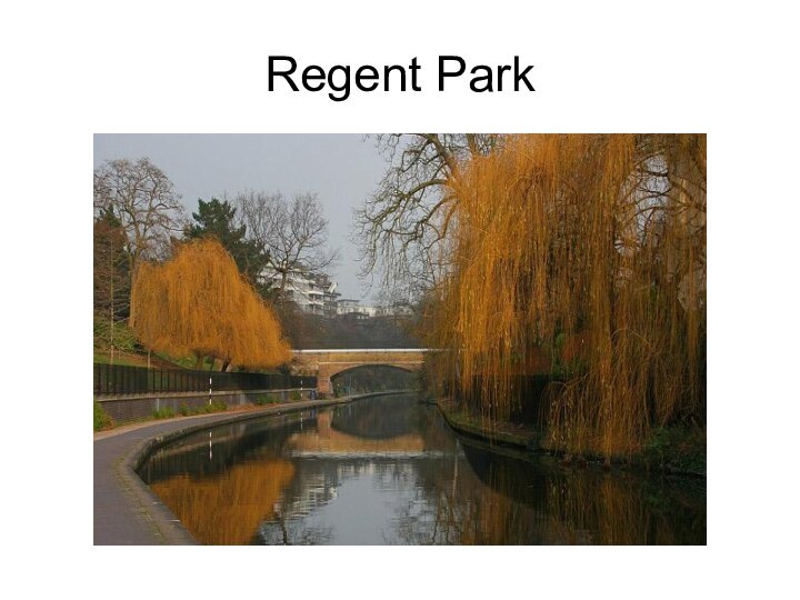 Regent Park