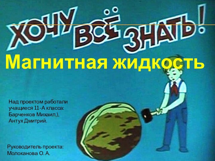 Магнитная жидкостьНад проектом работали учащиеся 11-А класса: Барченков Михаил,), Антух Дмитрий.Руководитель проекта: Молоканова О. А.