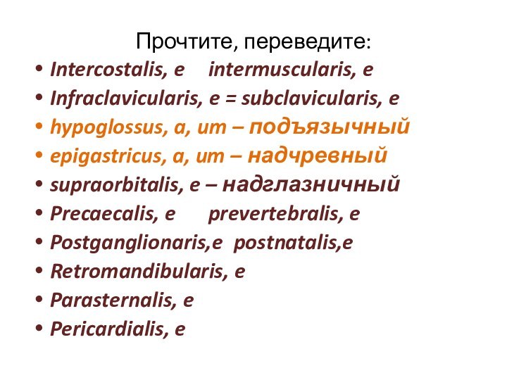 Прочтите, переведите:Intercostalis, e	intermuscularis, eInfraclavicularis, e = subclavicularis, ehypoglossus, a, um – подъязычныйepigastricus,