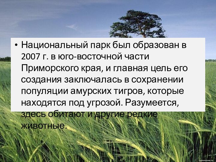 Национальный парк был образован в 2007 г. в юго-восточной части Приморского края,