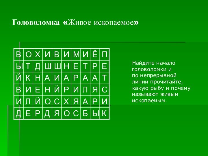 Головоломка «Живое ископаемое»Найдите началоголоволомки ипо непрерывнойлинии прочитайте,какую рыбу и почемуназывают живым ископаемым.