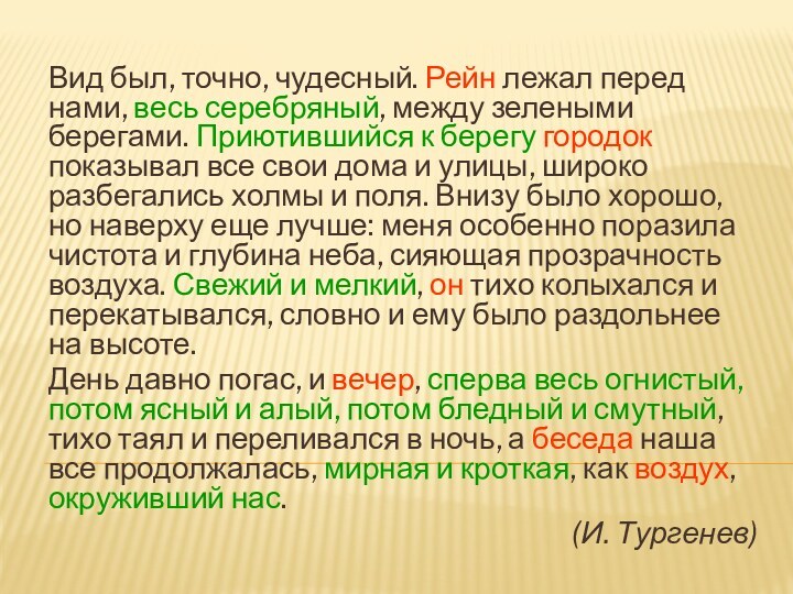 Вид был, точно, чудесный. Рейн лежал перед нами, весь серебряный, между зелеными