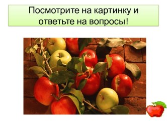 Посмотрите на картинку и ответьте на вопросы!