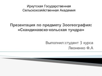 Презентация по предмету Зоогеография:Скандинавско-кольская тундра