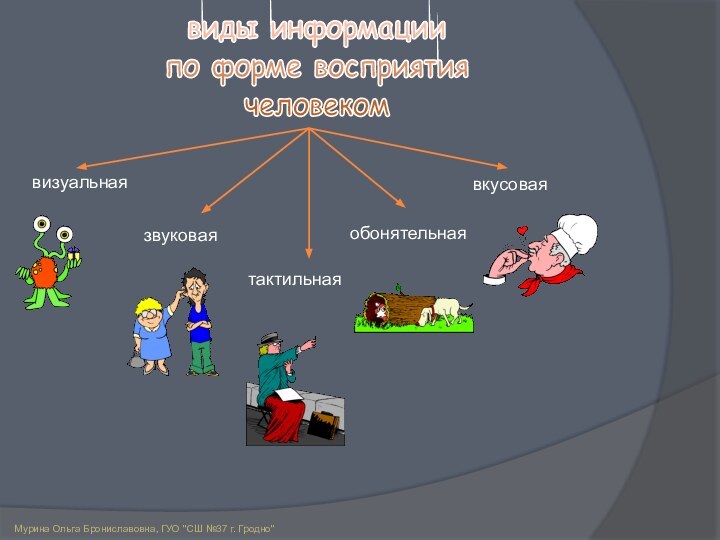 виды информациипо форме восприятиячеловекомвизуальнаязвуковаятактильнаяобонятельнаявкусоваяМурина Ольга Брониславовна, ГУО 