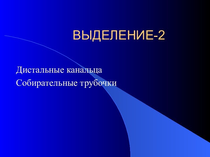 ВЫДЕЛЕНИЕ-2Дистальные канальцаСобирательные трубочки