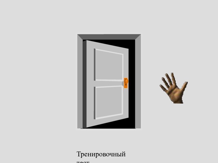 Тренировочный тест