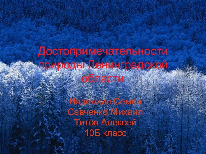 Достопримечательности природы Ленинградской областиНадежкин СеменСавченко МихаилТитов Алексей10Б класс