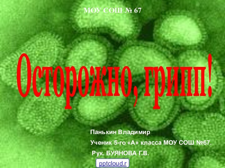 Панькин Владимир Ученик 5-го «А» класса МОУ СОШ №67. Рук. БУЯНОВА Г.В.МОУ СОШ № 67Осторожно, грипп!