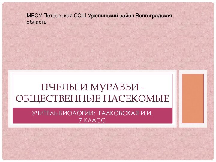 Учитель биологии: Галковская И.И.7 классПчелы и муравьи -общественные насекомыеМБОУ Петровская СОШ Урюпинский район Волгоградская область