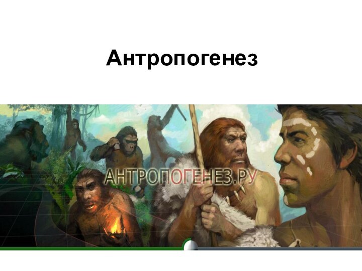 Антропогенез