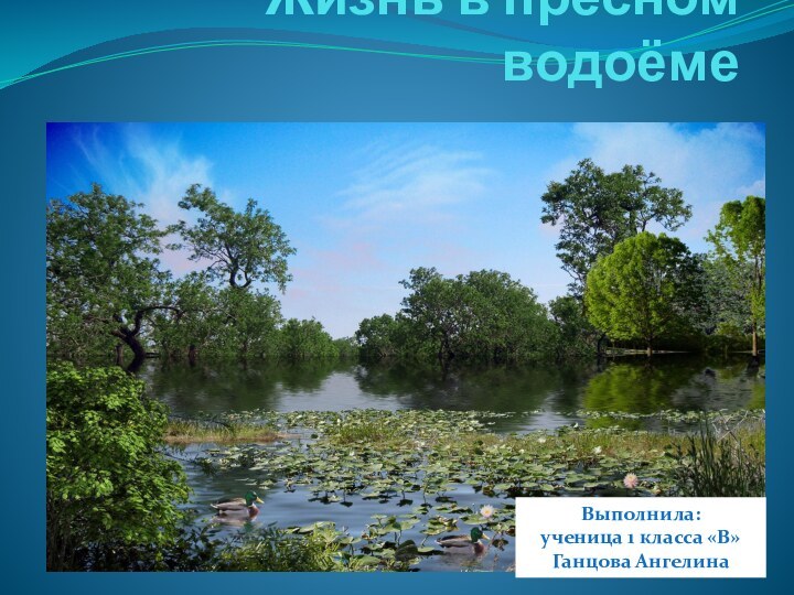 Жизнь в пресном водоёмеВыполнила: ученица 1 класса «В»Ганцова Ангелина