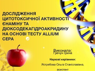 Дослідженняцитотоксичної активності єнаміну та діоксодекагідроакридину на основі тесту allium cepa