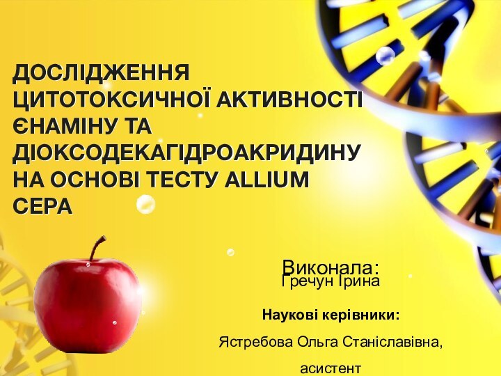 Дослідження цитотоксичної активності  єнаміну та діоксодекагідроакридину на основі тесту Allium cepaВиконала:Гречун