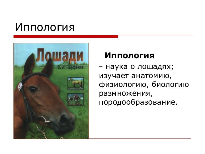 – наука о лошадях; изучает анатомию, физиологию, биологию размножения, породообразование.ИппологияИппология