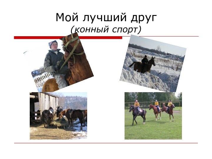 Мой лучший друг (конный спорт)