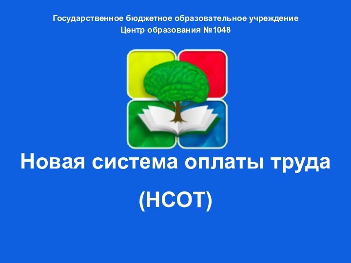 Государственное бюджетное образовательное учреждениеЦентр образования №1048 Новая система оплаты труда   (НСОТ)