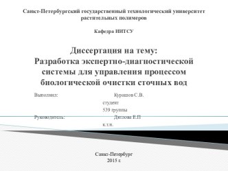 Разработка экспертно-диагностической системы для управления процессом биологической очистки