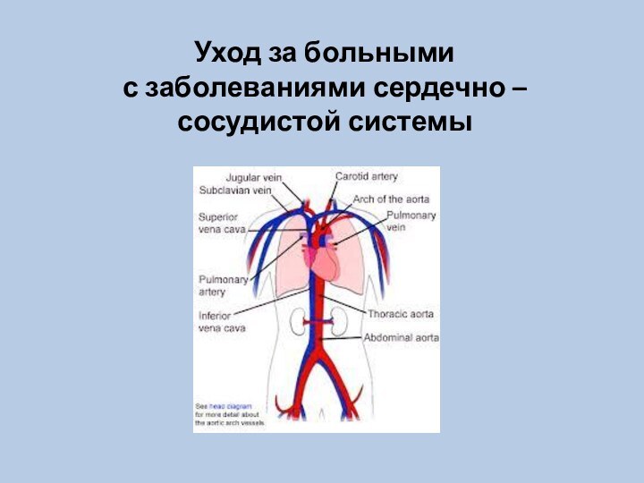 Уход за больными  с заболеваниями сердечно – сосудистой системы