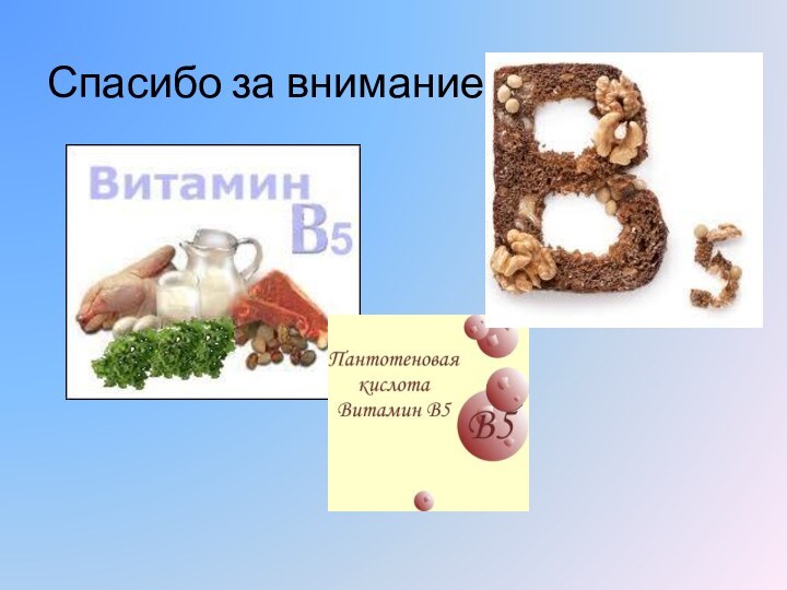 Спасибо за внимание