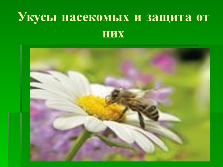 Укусы насекомых и защита от них